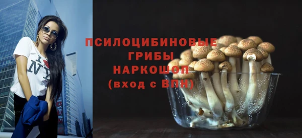 гашик Волосово