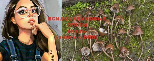 герыч Володарск