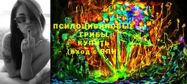 гашик Волосово