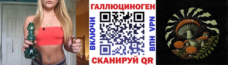 блэк спрут вход Раменское Псилоцибиновые грибы мухоморы
